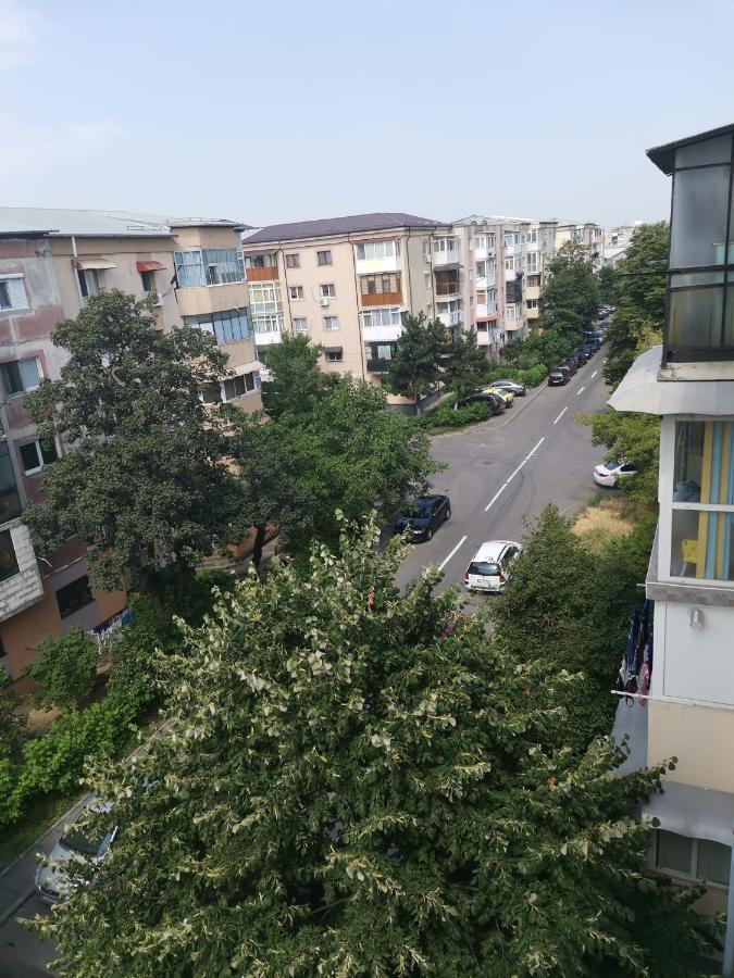 Bloom Box Apartments 크라이오바 외부 사진